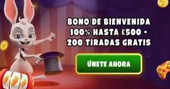 Magius Casino